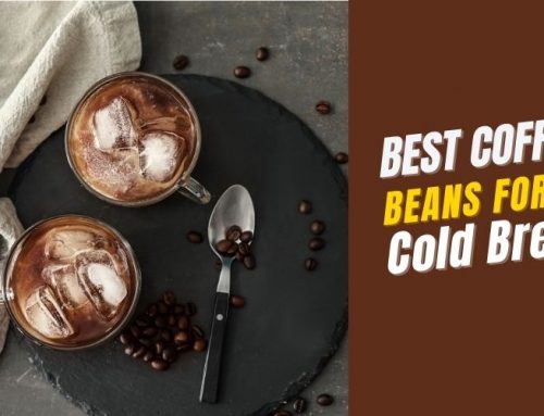 10 Best Coffee Beans For Cold Brew